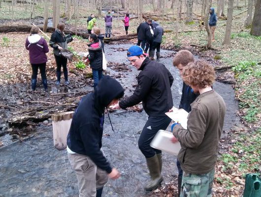 Dr. Binney Girdlers Population and Community Ecology lab taking samples in a river