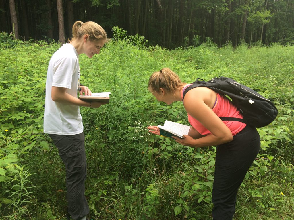 Students surveying plants in the Arboretum
