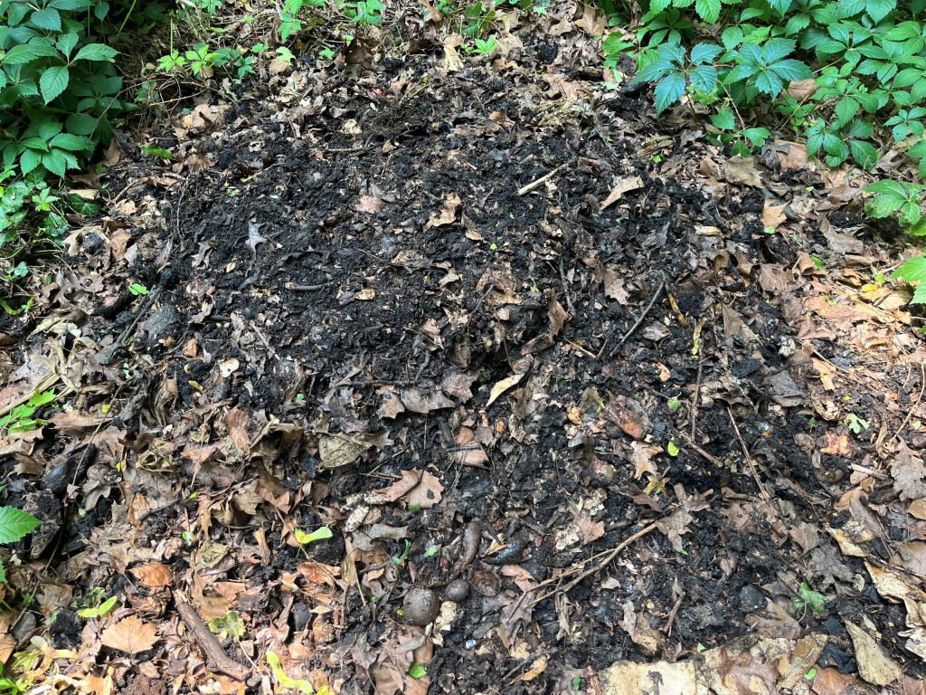 a pile of compost