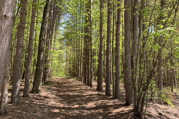 Arboretum Highlights