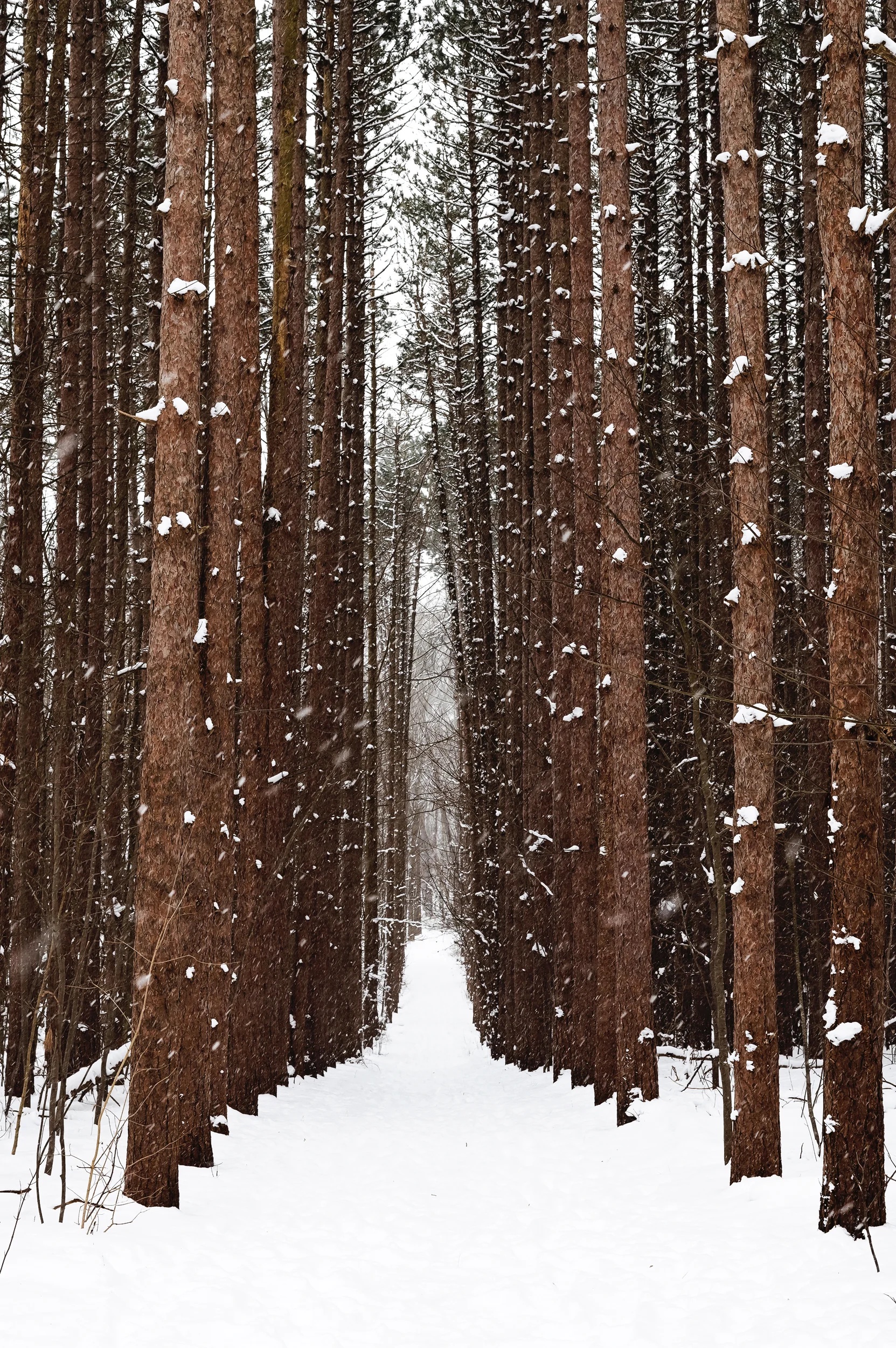 Winter in the Living Learning Labs