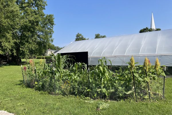 Hoop House Spotlight!