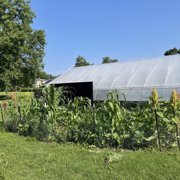 Hoop House Spotlight!