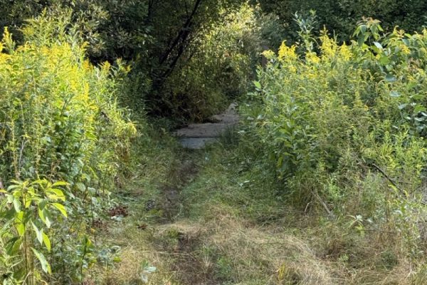 Summer Fellowships 2025: Using Tread Management to Combat Against Trail Erosion
