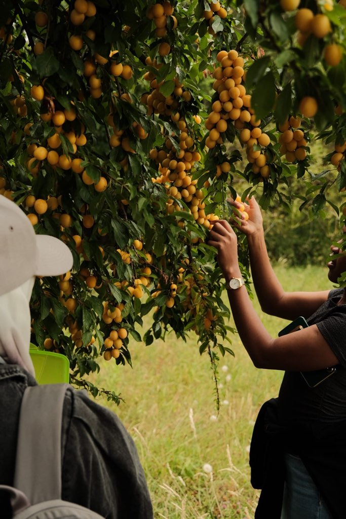 Summer Fellowships 2025: Sustainable Development Academy at the University of Potsdam