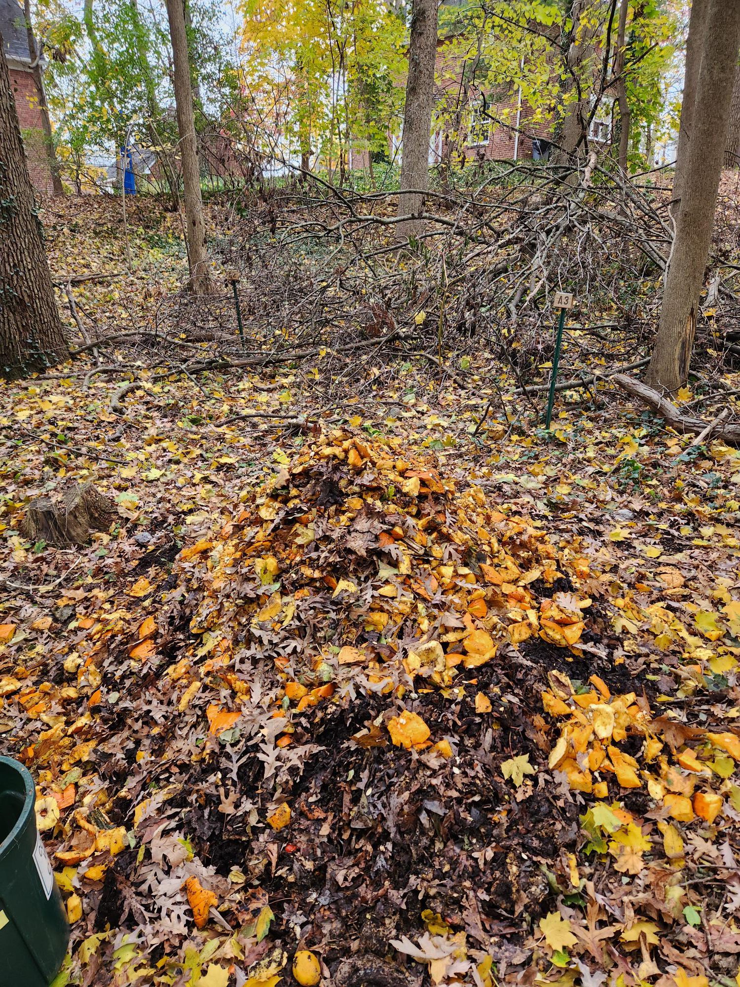 Huge load of chopped pumpkins in the compost pile