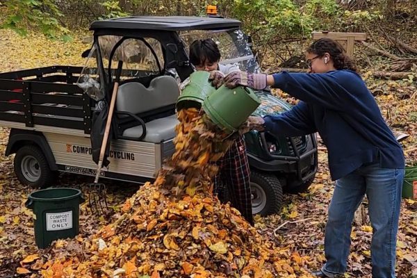 Pumpkins: A Smashing Success