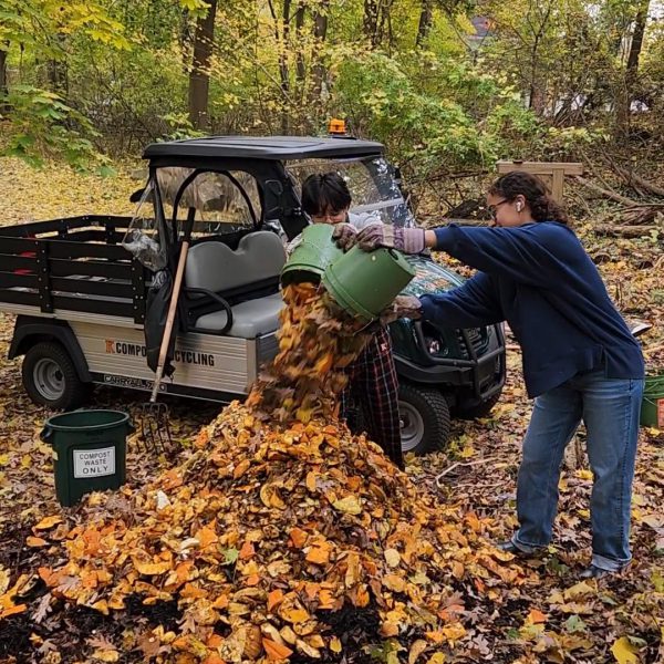 Pumpkins: A Smashing Success