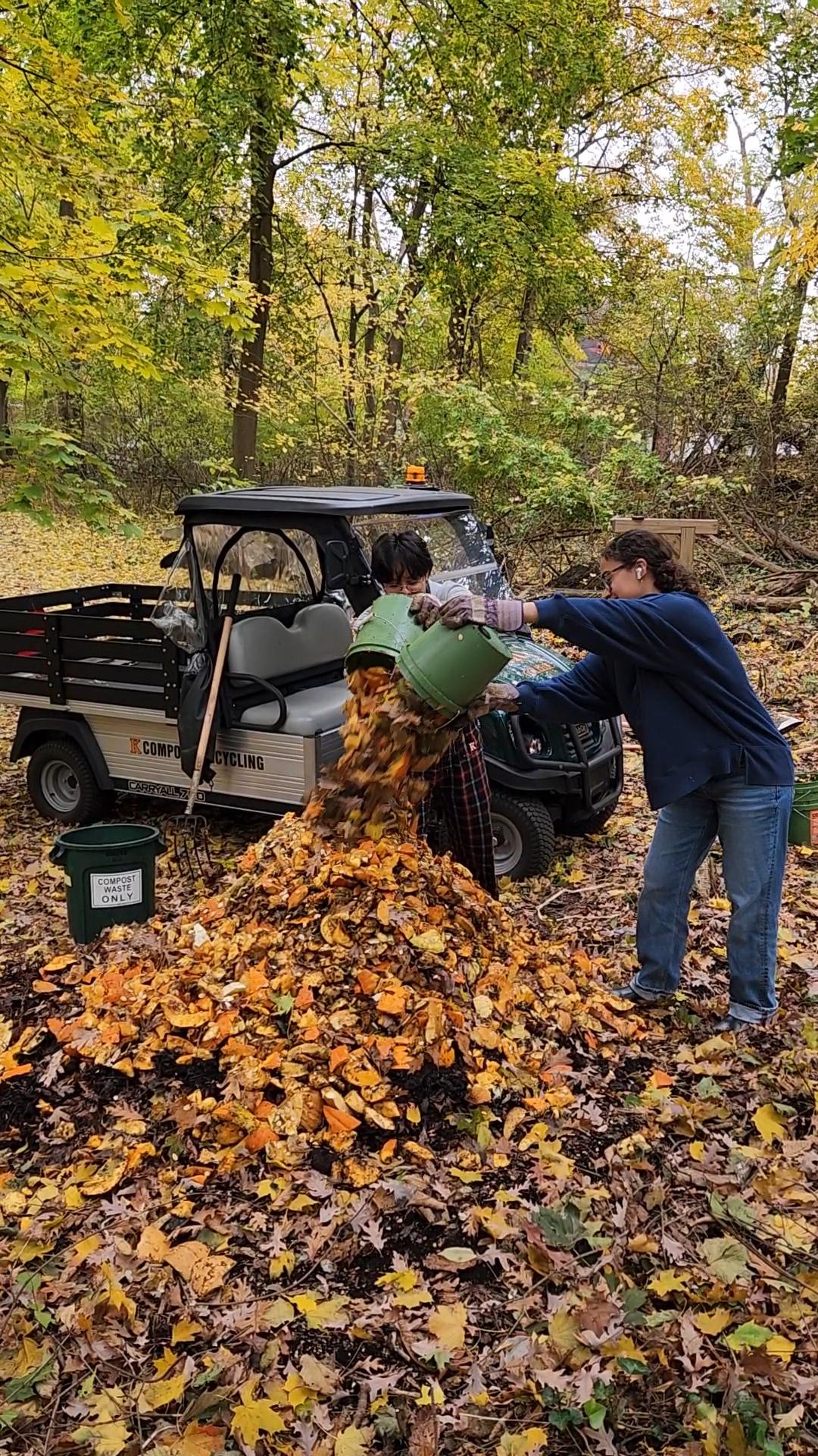 Pumpkins: A Smashing Success