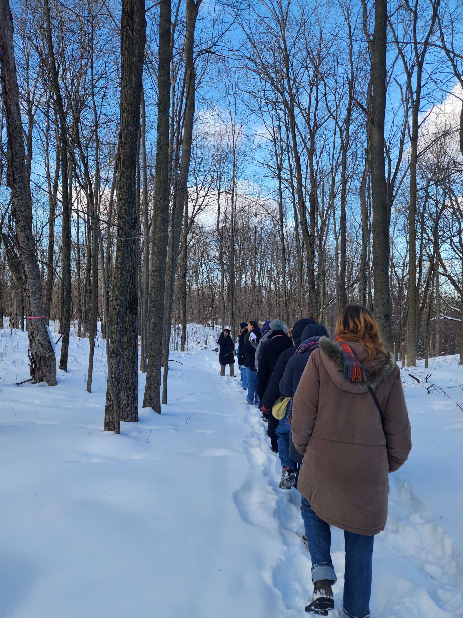 Students learning winter tree identification at the Kalamazoo Nature center