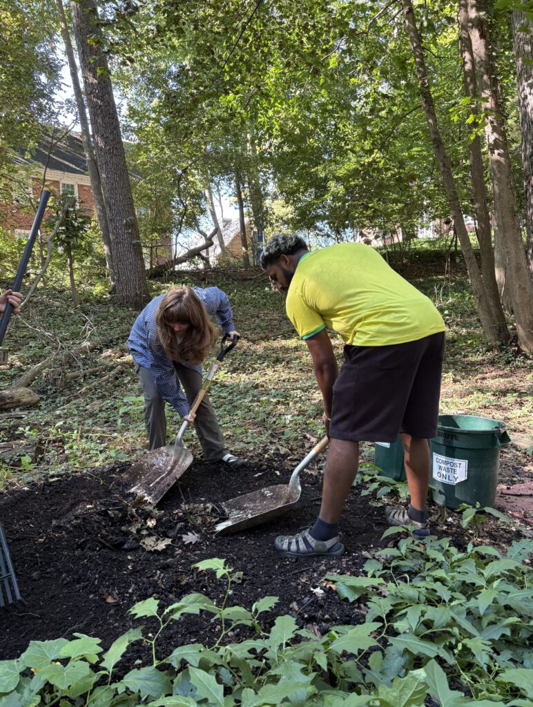 Two students shoveling a compost pile in the woods