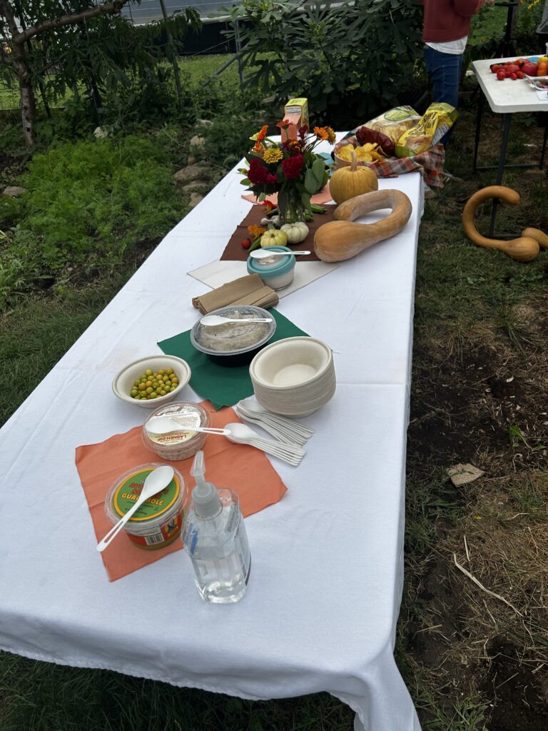 food laid out on a table surrounded by green grass and plants