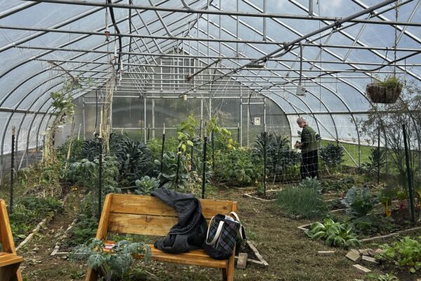 Inside the Hoop House