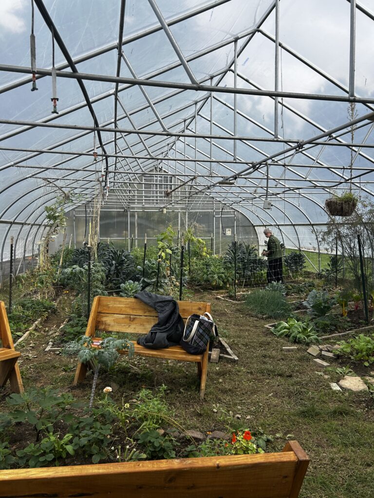 Inside a hoop house garden