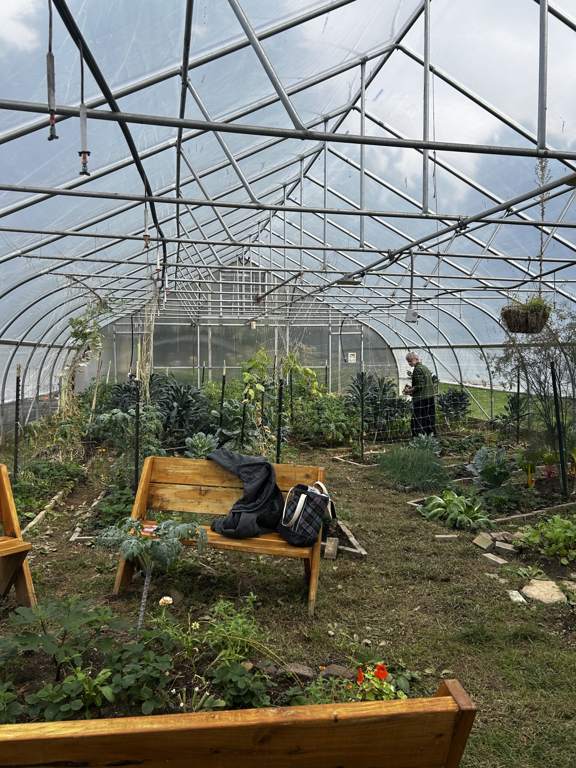 Inside the Hoop House