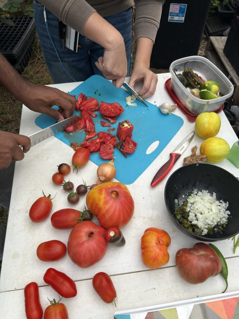 hands cutting tomatoes and garlic for pico de gallo