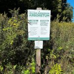 Green and white sign in front of plants that says "Welcome to Lillian Anderson Arboretum"
