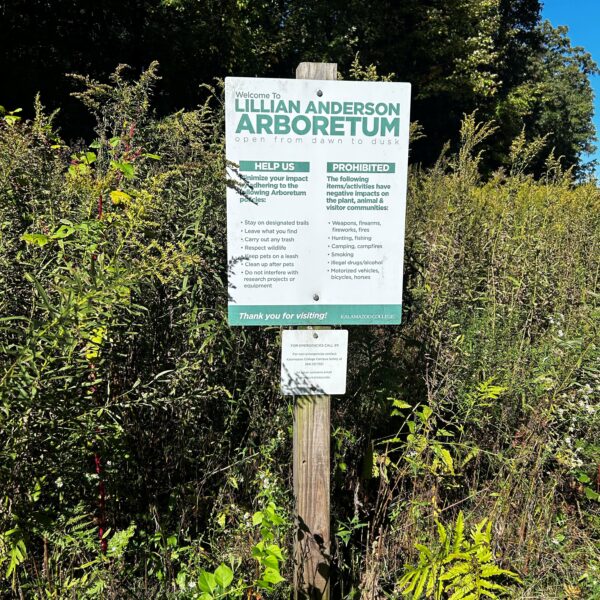 Into the Woods of the Arb