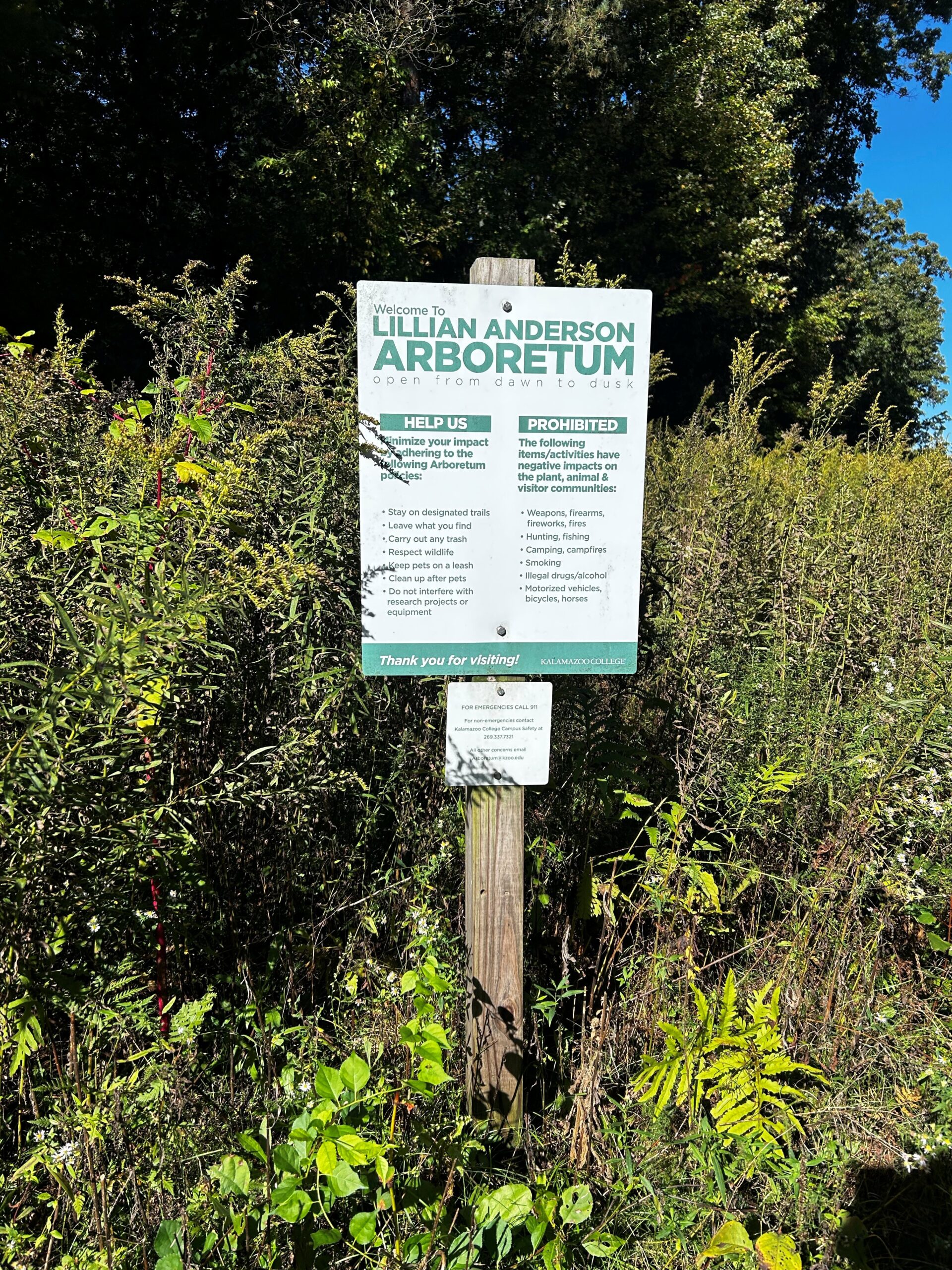 Into the Woods of the Arb 