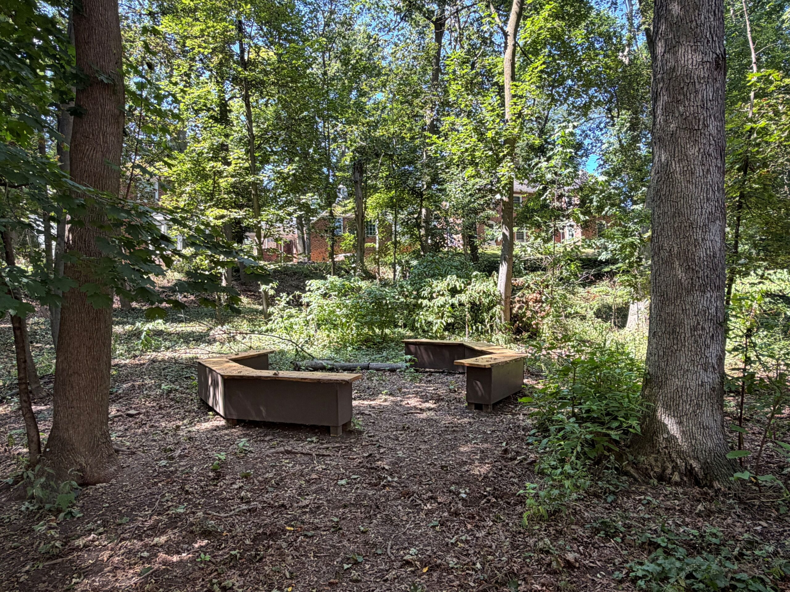 Benches in the woods