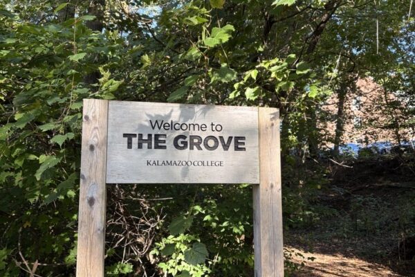 Inside the Grove