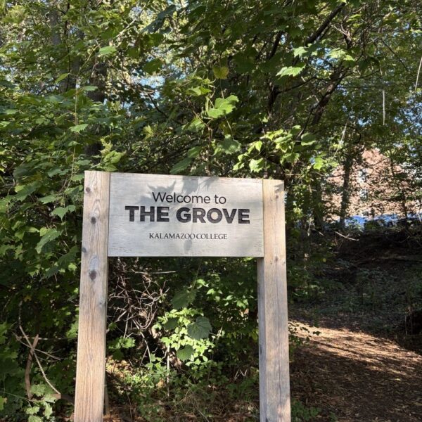 Inside the Grove