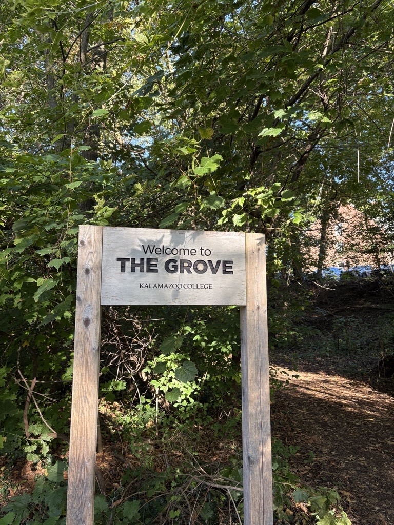 Inside the Grove